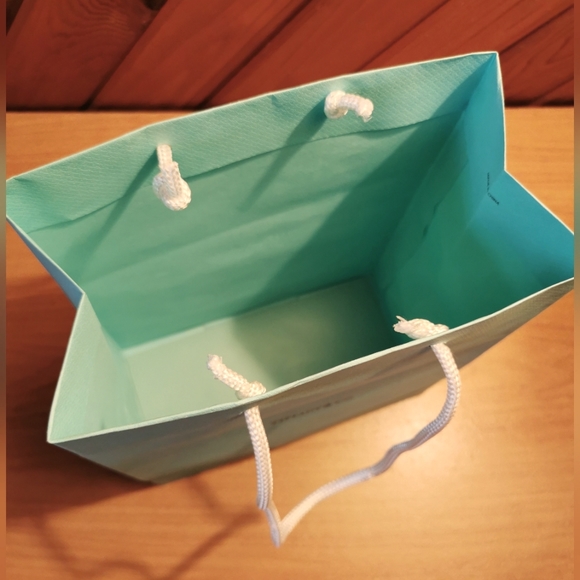 TIFFANY & Co. Gift Bag - Picture 3 of 4